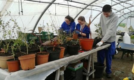 Ya está en marcha el curso de Actividades Auxiliares en Agricultura