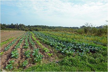 Nueva temporada en Finca El Cabillón