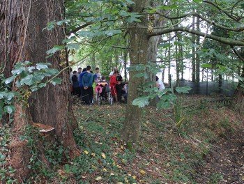 Pedagogía Verde en Edes